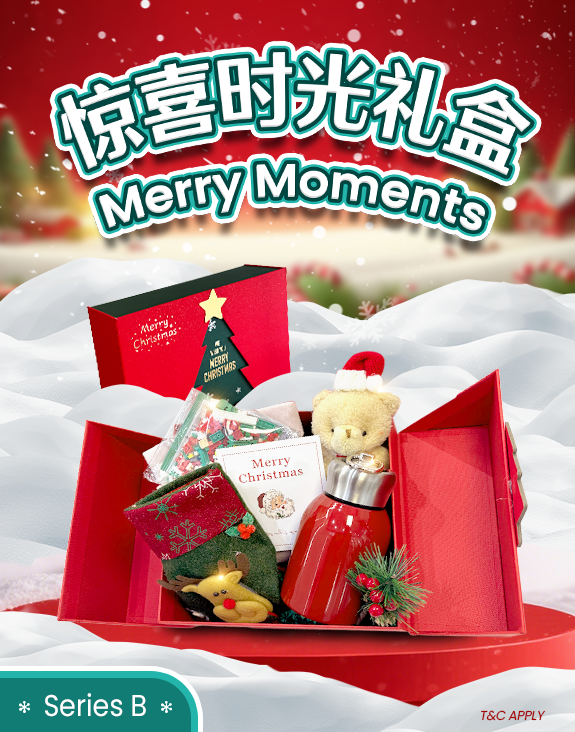 Santa's Magic Time Set B